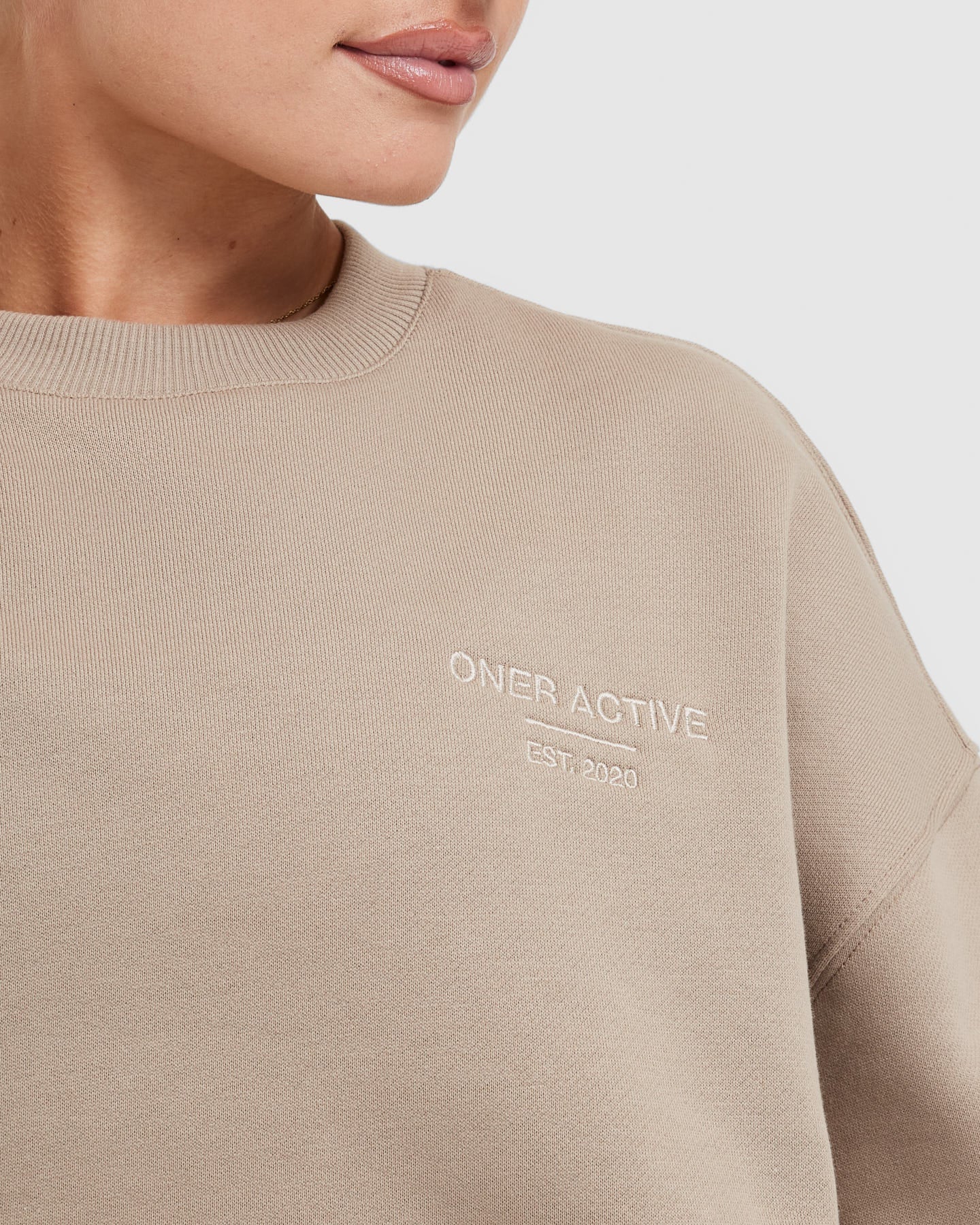 All Day Est 2020 Oversized Sweatshirt | Sandstone - Image 4